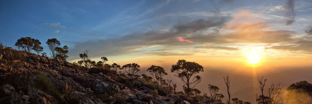 Panorâmica do pôr do sol na trilha de acesso ao Pico da Bandeira, com árvores em silhueta