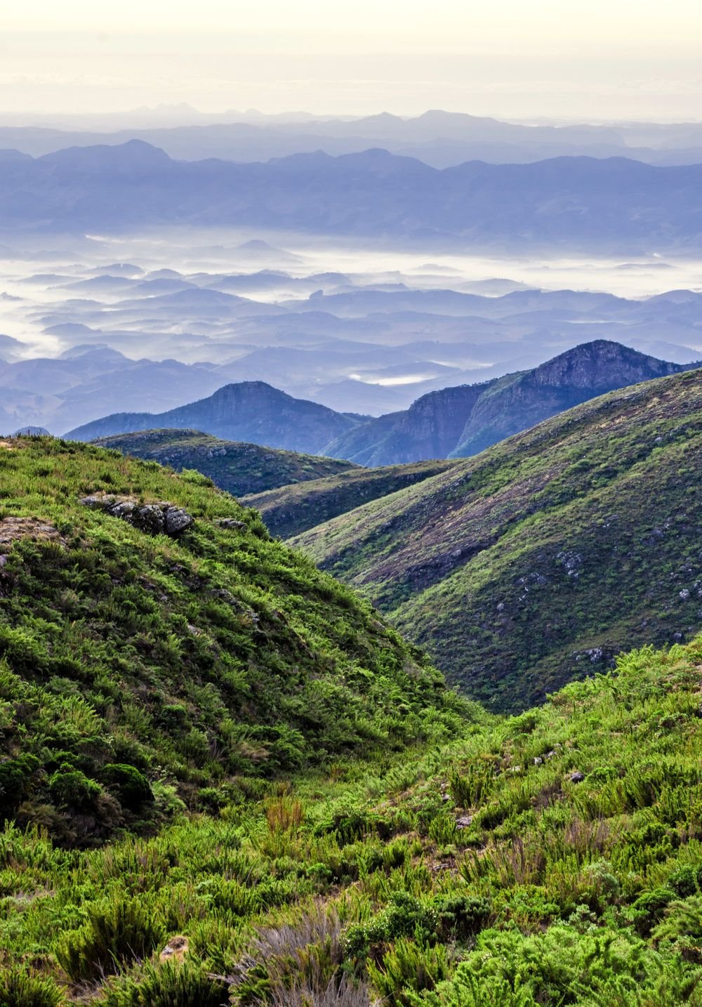 Encostas verdes da serra com o mar de nuvens e montanhas azuladas no horizonte
