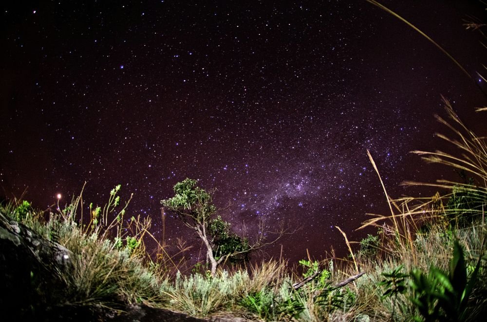 A Via Láctea no céu estrelado sobre a vegetação de altitude