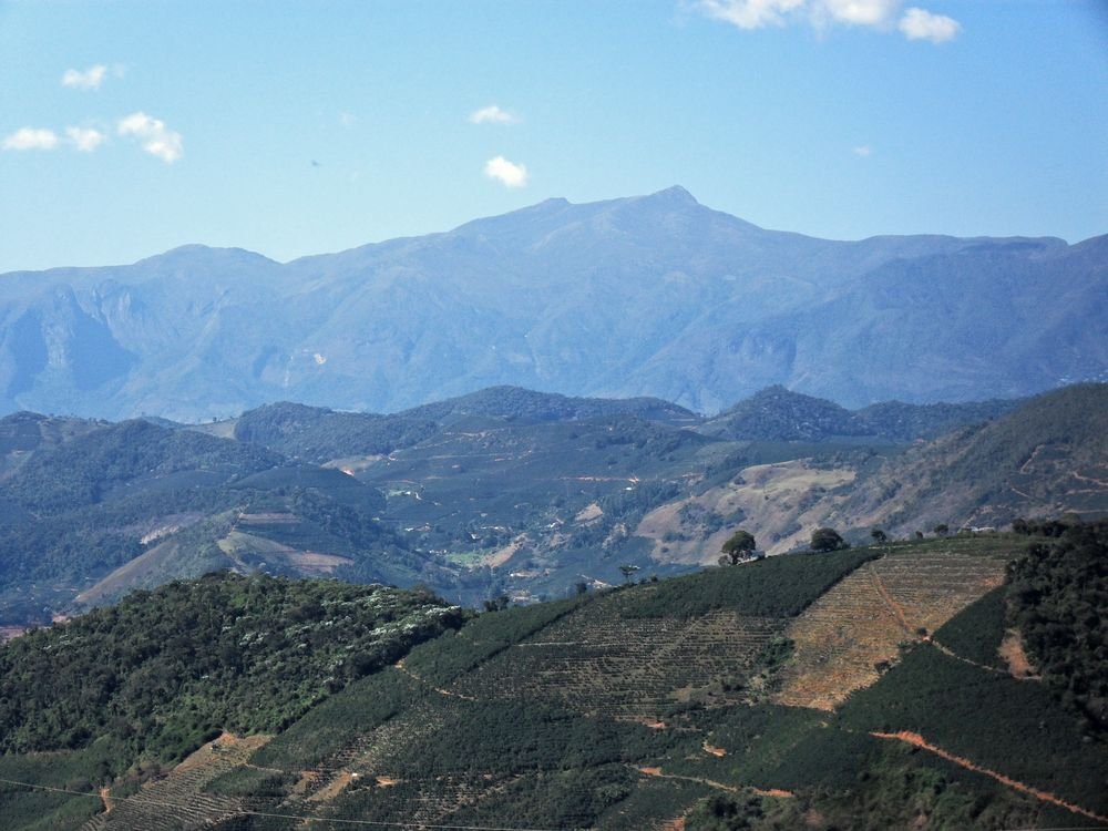 A Serra do Caparaó inteira vista do lado mineiro, com lavouras de café em primeiro plano e a cadeia de montanhas ao fundo